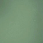 Искусственная кожа Epsilon 50685 Lt. Green